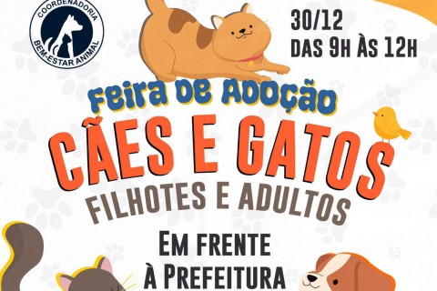 FEIRA DE ANIMAIS